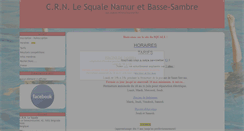 Desktop Screenshot of crnsquale.be